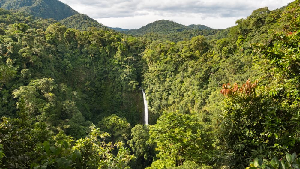 Arenal and Monteverde