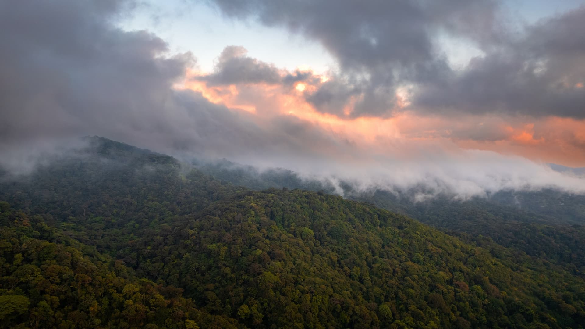 monteverde 2